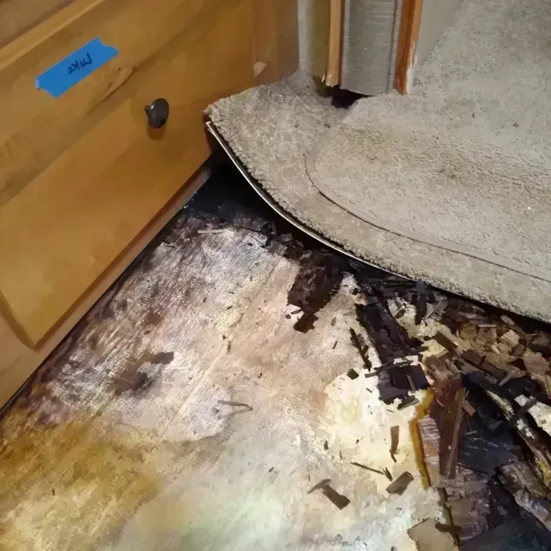 Wood Floor Water Damage in McGehee, AR